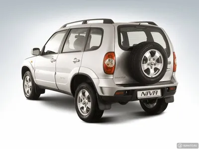 Купить новый Chevrolet Niva I Рестайлинг 1.7 MT (80 л.с.) 4WD бензин  механика в Новокузнецке: белый Шевроле Нива I Рестайлинг внедорожник  5-дверный 2019 года на Авто.ру ID 1098542046