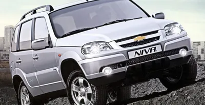 Купить новый Chevrolet Niva I Рестайлинг 1.7 MT (80 л.с.) 4WD бензин  механика в Туле: чёрный Шевроле Нива I Рестайлинг внедорожник 5-дверный  2020 года на Авто.ру ID 1099132506