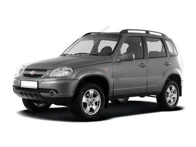 Бортжурнал Chevrolet Niva графит 2