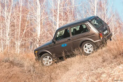 ТЮН-АВТО Автомобильные ручки ЕВРОLada Niva Urban Кориандр