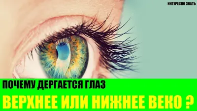 Почему дергается нижнее веко? Как лечить тик глаза?» — Яндекс Кью