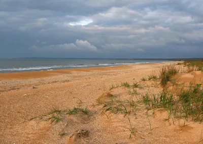 Село Нижнезаморское