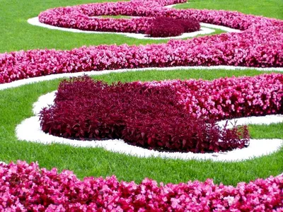 Сад-огород | Клумбы, Цветы, Дизайн цветочного сада