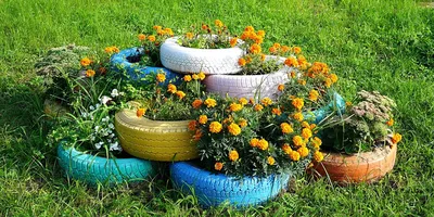 Неприхотливые цветы и растения многолетники для сада