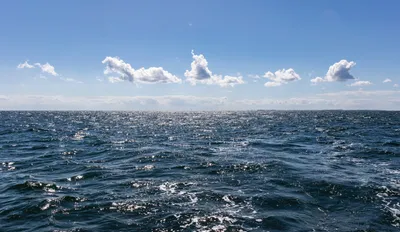 Ученые раскрыли тайну НЛО на дне Балтийского моря | ru.15min.lt