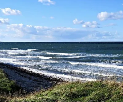 Что на самом деле нашли ученые на дне Балтийского моря?