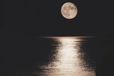 Ночь море луна фото фото
