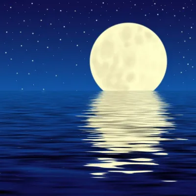 Картина- пейзаж ночь луна море 40х60 - купить по низкой цене в  интернет-магазине OZON (252651421)