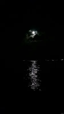 Ночь Луна Море - Бесплатное фото на Pixabay - Pixabay