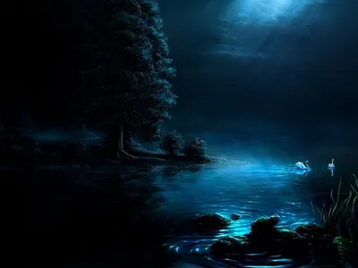 Лунная ночь в зимнем лесу (Мурманская область). Фот | Лес, Фантастический  мир, Ночь