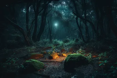 Лунный свет в лесу (59 фото) - 59 фото