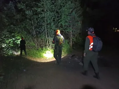Ночь в лесу. / Охотничьи фото: Природа / Сибирский охотник