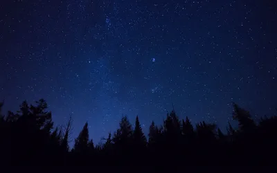 Скачать 3840x2400 звездное небо, деревья, звезды, ночь, ели, очертания  обои, картинки 4k ultra hd 16:10