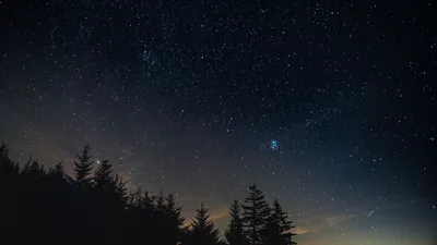 Скачать 1920x1080 звездное небо, ночь, деревья, ночной пейзаж обои,  картинки full hd, hdtv, fhd, 1080p