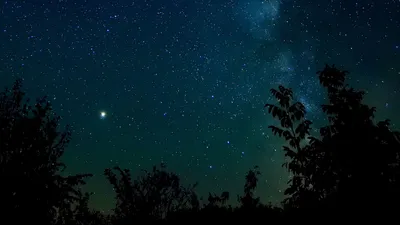 Скачать 1920x1080 звездное небо, ночь, звезды, деревья, ночное небо обои,  картинки full hd, hdtv, fhd, 1080p