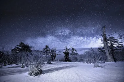Ночное небо зимой (55 фото) - 55 фото