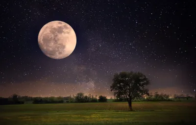 красивое звездное лунное небо ночью, Ночное небо, небо, звездное небо фон  картинки и Фото для бесплатной загрузки