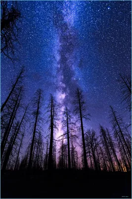 Красивое волшебное голубое ночное небо с облаками и Fullmoon и звездами  Стоковое Фото - изображение насчитывающей романтично, звёздно: 68523258