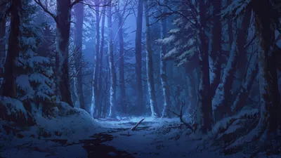 Ночной лес :: Nikolay Zinoviev – Социальная сеть ФотоКто