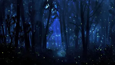 Ночной лес.. - Мастера скриншотов - Adult Mods Localized