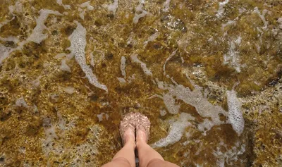 Крупным Планом Красивые Женские Ноги В Воде Бассейна — стоковые фотографии  и другие картинки Бассейн - iStock