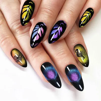 9D Cateye Nail Art Certified Nail Course