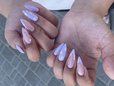 Французский маникюр и мини... - Elena Grama Nail Academy | Facebook