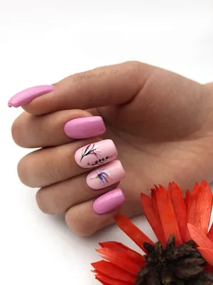 Прозрачный Гель лак для ногтей Натуральный Розовый нюдовый гель лак Эмаль  дизайн для ногтей все для маникюра NTLT01-06 | AliExpress