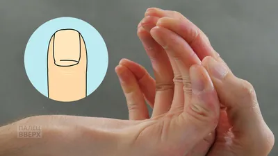 Avenu__nails - ❗️10 интересных фактов о ногтях❗️: ⠀ ✓Скорость роста ногтя в  среднем составляет 1 мм в неделю. ⠀ ✓На руках скорость роста ногтей выше,  чем на ногах. ⠀ ✓Зимой ногти растут