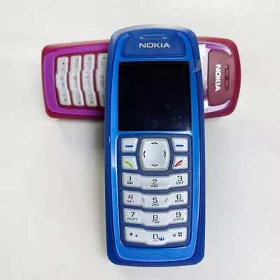 Nokia 3100 – Elaine's Idle Mind