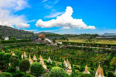 Тропический парк Нонг Нуч - Азиатский Версаль в сердце Таиланда | Разумный  туризм | Дзен
