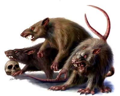 Muridae) Семейство Муриды, Мышиные млекопитающие, Мыши, Family Muridae