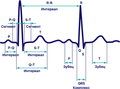 Контурный анализ ЭКГ: анализ сердечного ритма - Аппаратно-программные  комплексы БИОРС