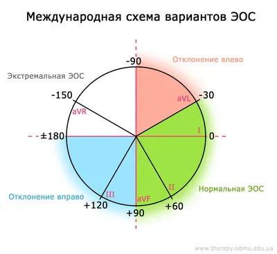 Нормальная ЭКГ (электрокардиограмма) (Р-волна, PR-сегмент, Интервал PR, QRS  Комплекс, Интервал QT, ST Сегмента, Зубца Т, U Волны) Клипарты, SVG,  векторы, и Набор Иллюстраций Без Оплаты Отчислений. Image 55067903