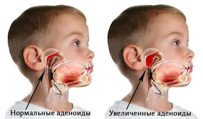 Клиника новых технологий в Красноярске — отзыв и оценка — Косто4ка