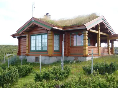 Дом из лафета, технология норвежской рубки, изготовление лафета, плюсы и  минусы | Экостройхаус