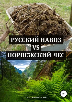 Шкаф Норвежский лес 4 ящика 691686 – купить по цене 71 500 ₽ в Москве в  интернет-магазине ogogo.ru