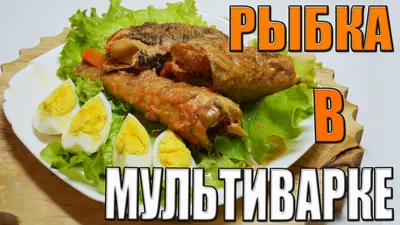 Нототения – Испания!!! Свежак !!! - FISH-ALLIANCE