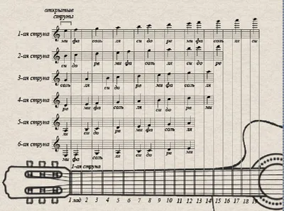 Как выучить ноты на гитаре?