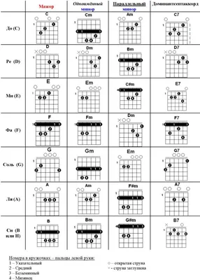 Ноты на гитаре - расположение на грифе, как читать начинающим с нуля