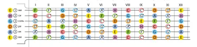 Как играть на гитаре по нотам. Базовые термины. Расположение нот на грифе –  GuitarMaestro.ru