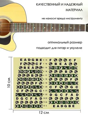 Уроки гитары \"Расположение нот на грифе\".