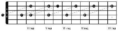 Расположение нот на грифе гитары.