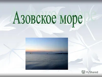 Ялта Азовское море (Много фото) - treepics.ru