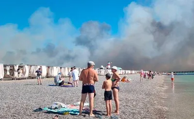 Чайка песчаный пляж с баром лежаками и бунгало в Новофедоровке Саки Крым  2023