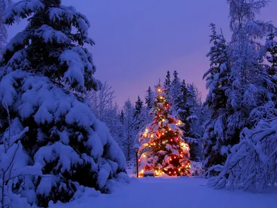 Новогодний домик в зимнем лесу , …» — создано в Шедевруме