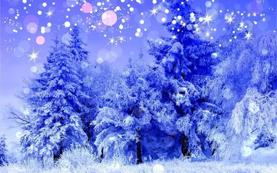 Картинки новогодние лес снег (69 фото) » Картинки и статусы про окружающий  мир вокруг