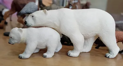 Исчезающий вид : Белый медведь | Пикабу