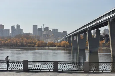 В Новосибирске зафиксирован беспрецедентно низкий уровень воды в реке Обь |  ОБЩЕСТВО | АиФ Новосибирск
