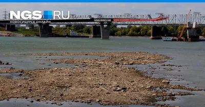 В Новосибирске обмелела Обь раньше срока, что произошло, 9 сентября, 2021  г. - 9 сентября 2021 - НГС.ру